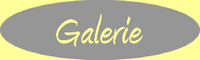 Galerie